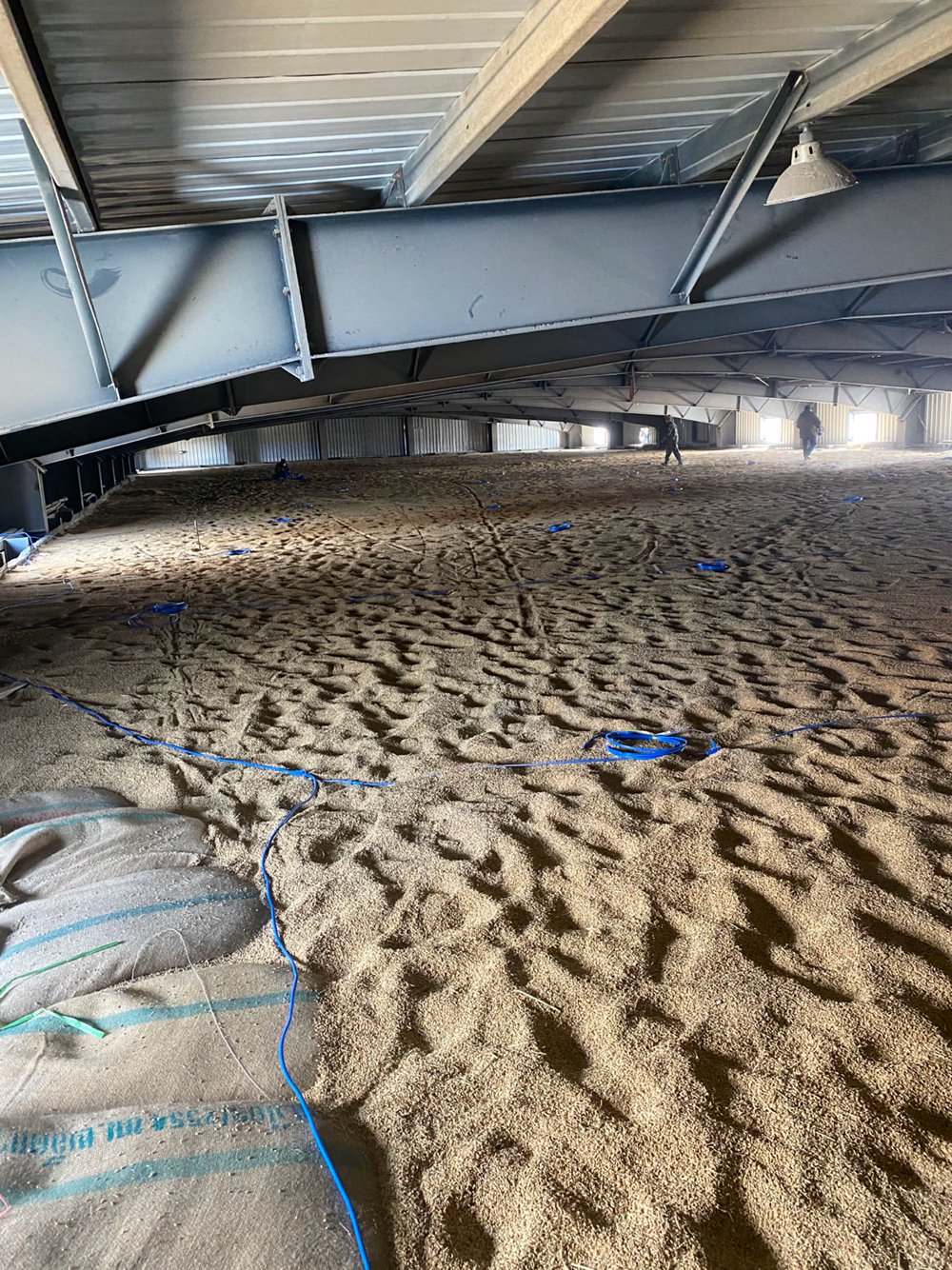 平房仓测温电缆安装案例